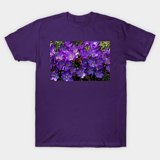 Crocus Cluster T-Shirt